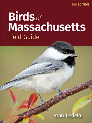 cover image of Birds of Massachusetts Field Guide